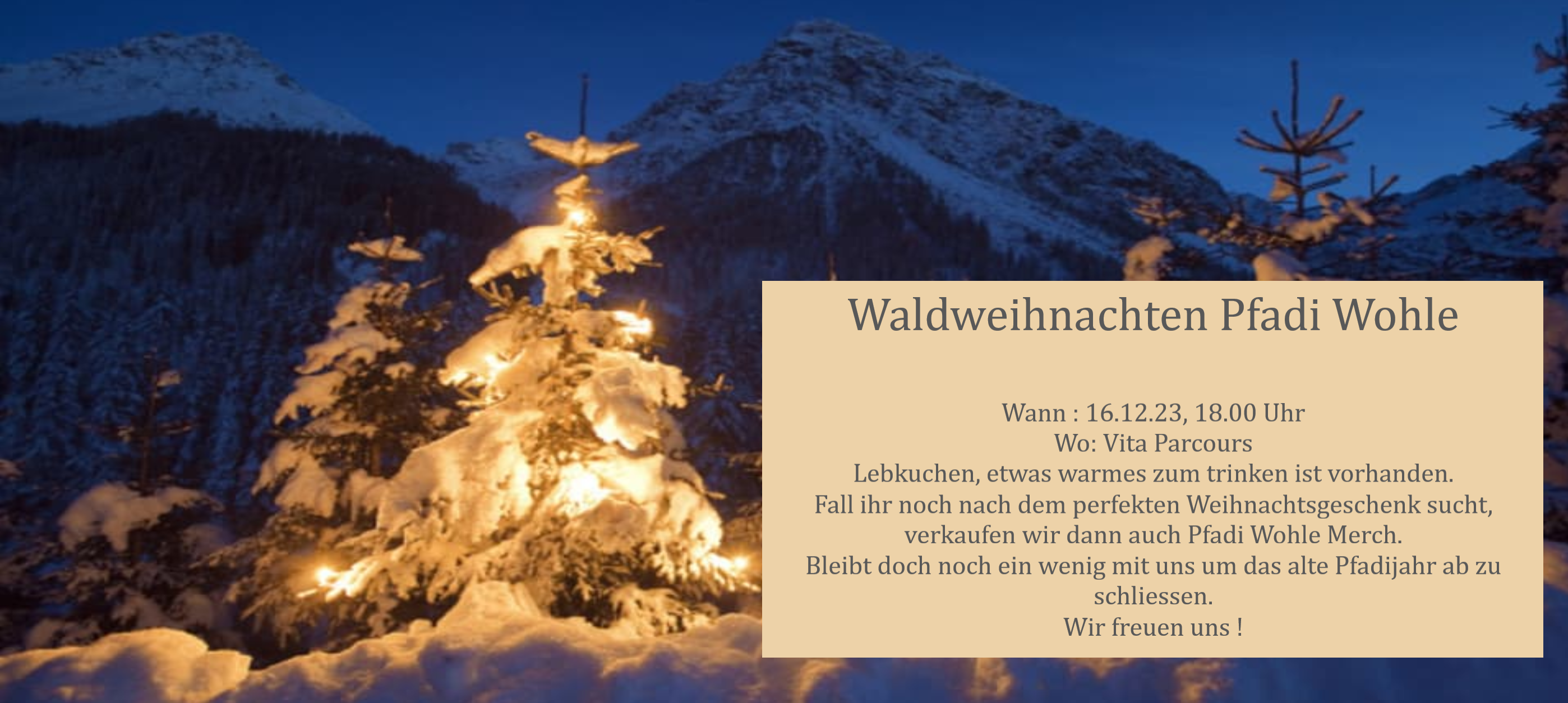 waldweihnachten 2023